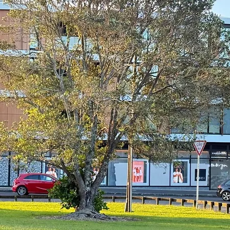 Apartment In Mount Eden- Two Bedroom With One Carpark